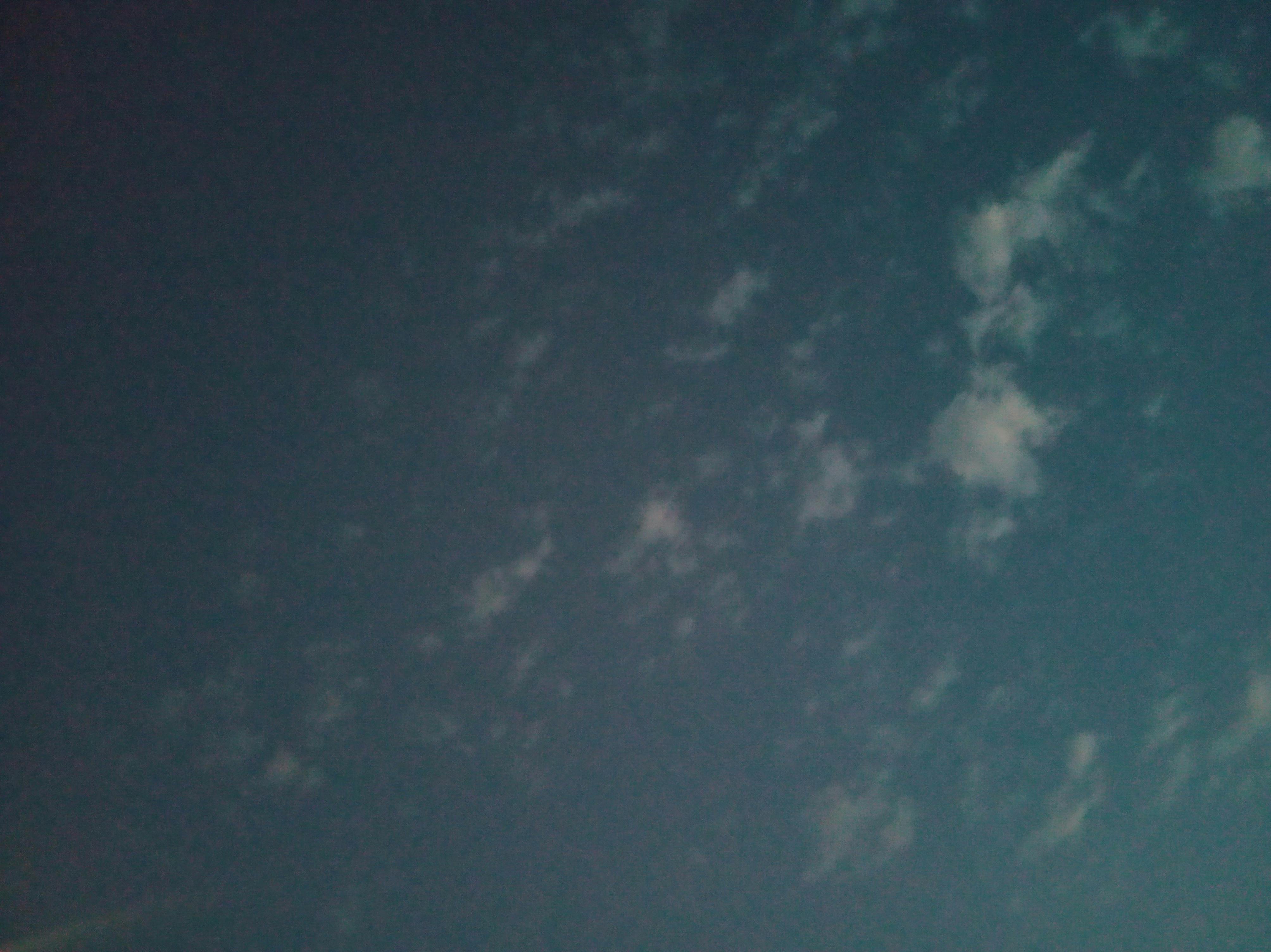Veterinarian examining a cat