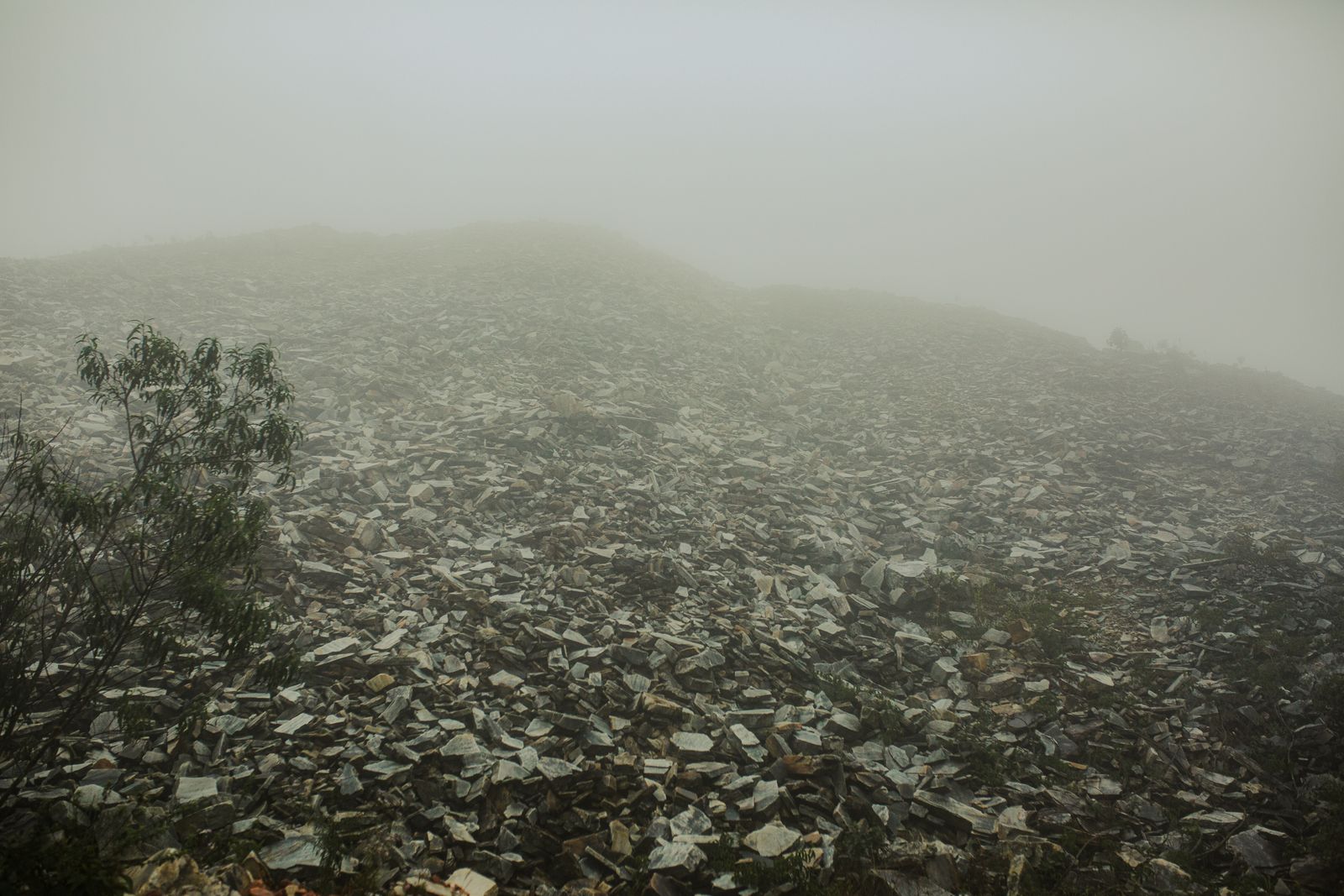 Dense fog rolling over a desolate, rocky coastal landscape, illustrative photo