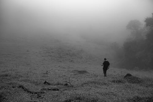 Free Monochrome Photo of a Person Walking in a Foggy Grass Field Stock Photo