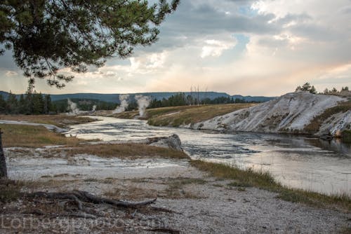 Free stock photo of yellowstone national park