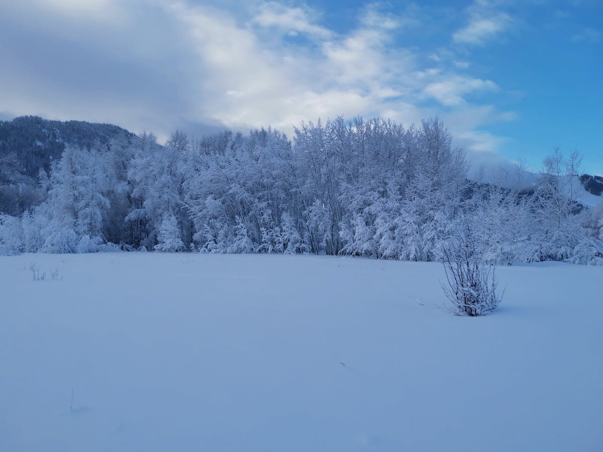 Person using a chair to support a squat variation for mobility