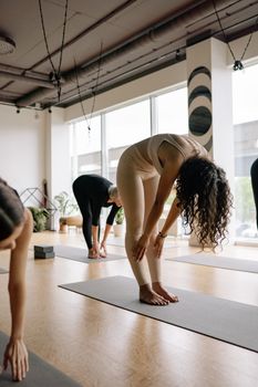 A group of women practicing yoga indoors with natural light, focusing on wellness and fitness.