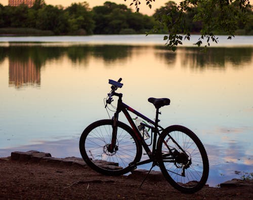 Free stock photo of bike, lake, new york city