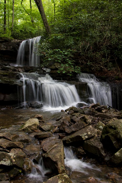 
Waterfalls in a Forest