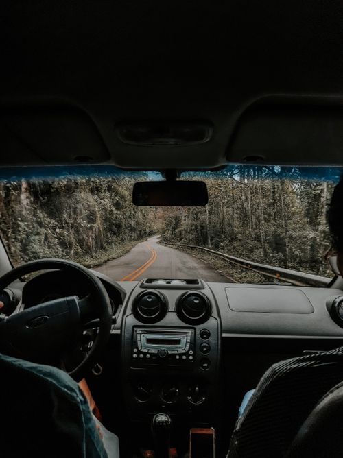Free Inside view of a car driving on a scenic, winding road surrounded by lush greenery. Stock Photo