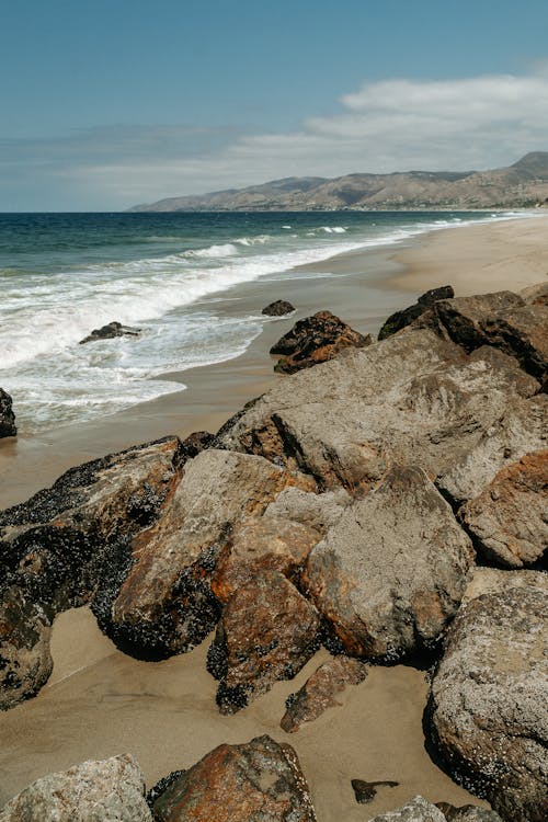 垂直拍攝, 岩石的, 岸邊 的 免費圖庫相片