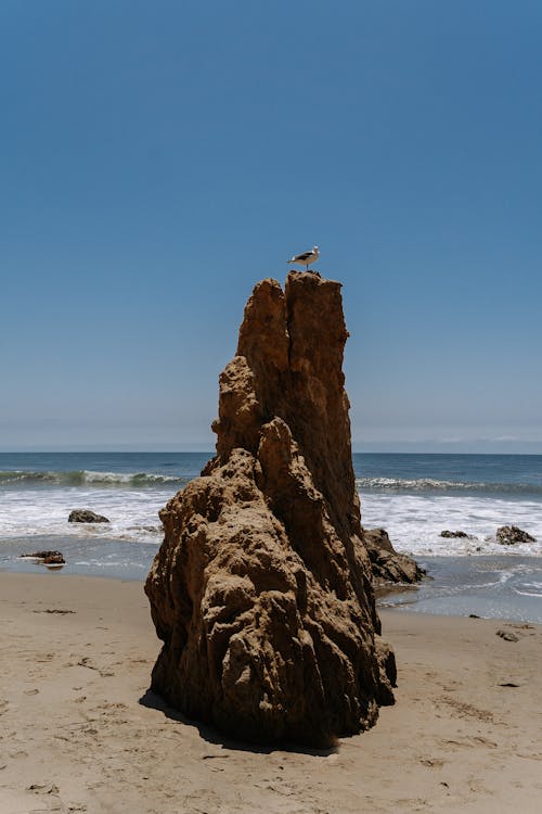 Brown Rock Formation on Beach