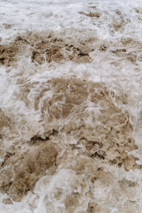 Základová fotografie zdarma na téma mávání, pěna, pobřeží