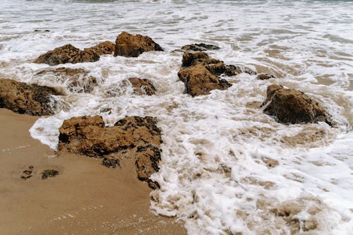 Photos gratuites de bord de mer, côtier, eau