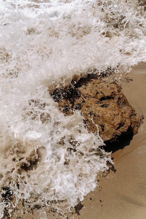 Brown Rock on the Beach