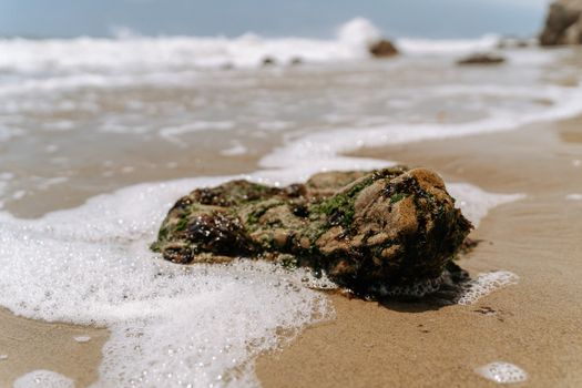 Detailed photo of a rock with algae on a sandy beach with foamy waves.