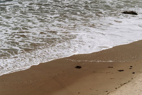 Foto profissional grátis de areia, beira-mar, costa