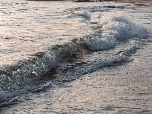 Základová fotografie zdarma na téma mávání, moře, oceán