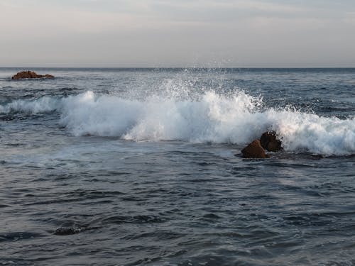 Fotos de stock gratuitas de dice adiós, mar, naturaleza