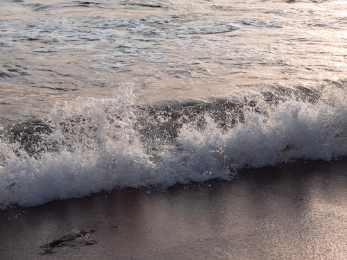 Fotos de stock gratuitas de decir adiós con la mano, litoral, mar