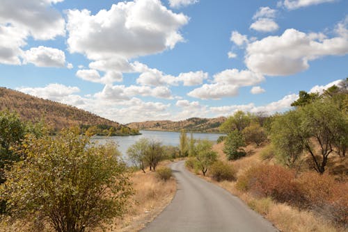 Foto d'estoc gratuïta de arbres, asfalt, carretera