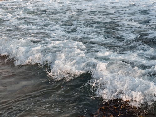 Photos gratuites de eau, étendue d'eau, faire signe