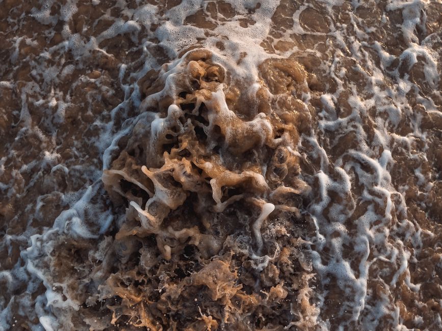 foaming degreaser