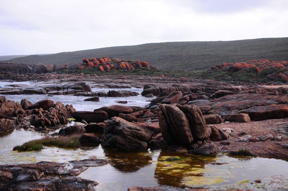Visa Régional Qualifié Subclass 491 Australie — Guide Complet 2026