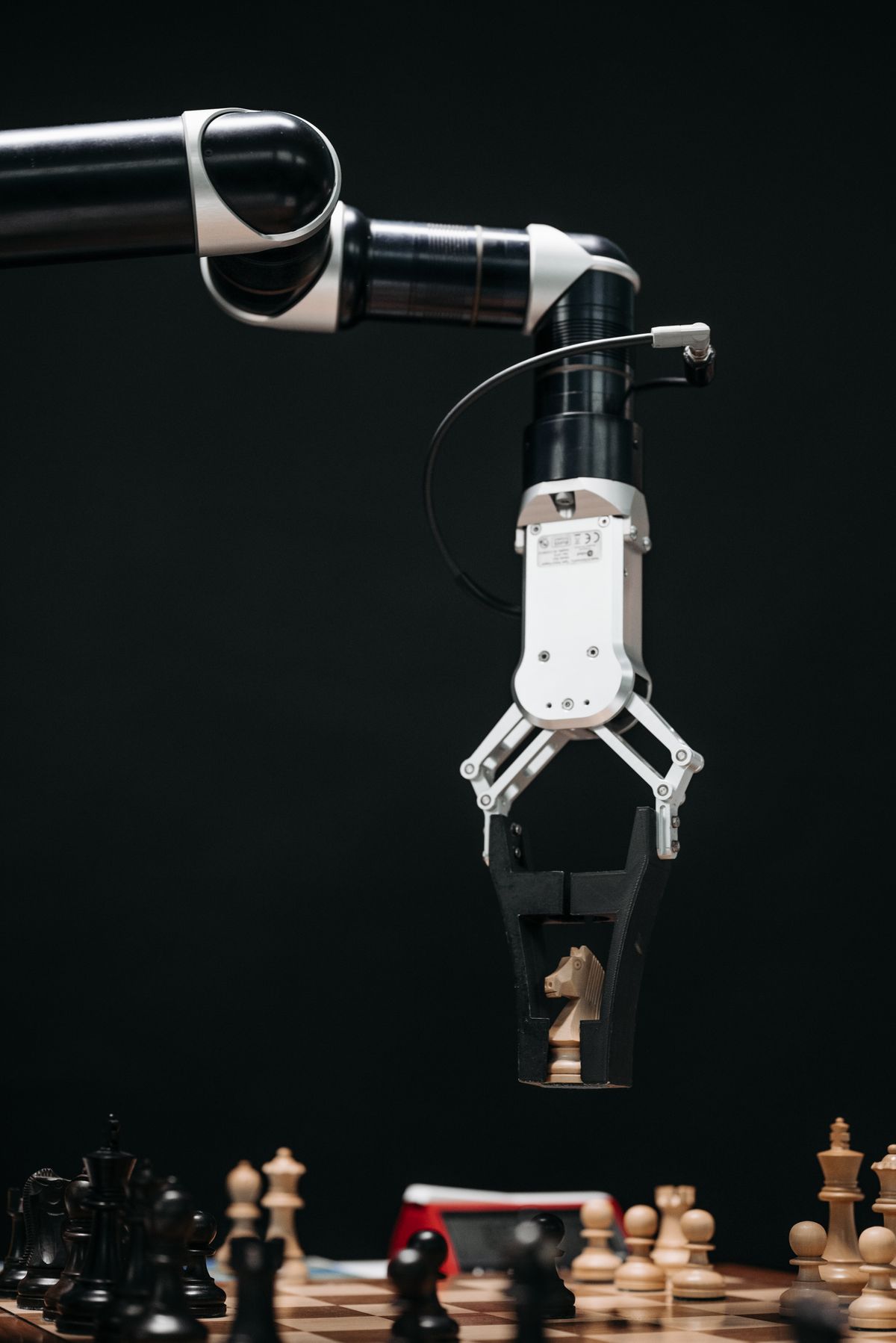 Using an AI chatbot to get answers