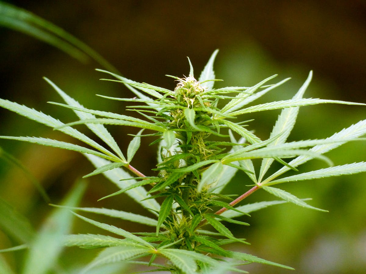 Vitamin B12 tablets and a glass of water on a table