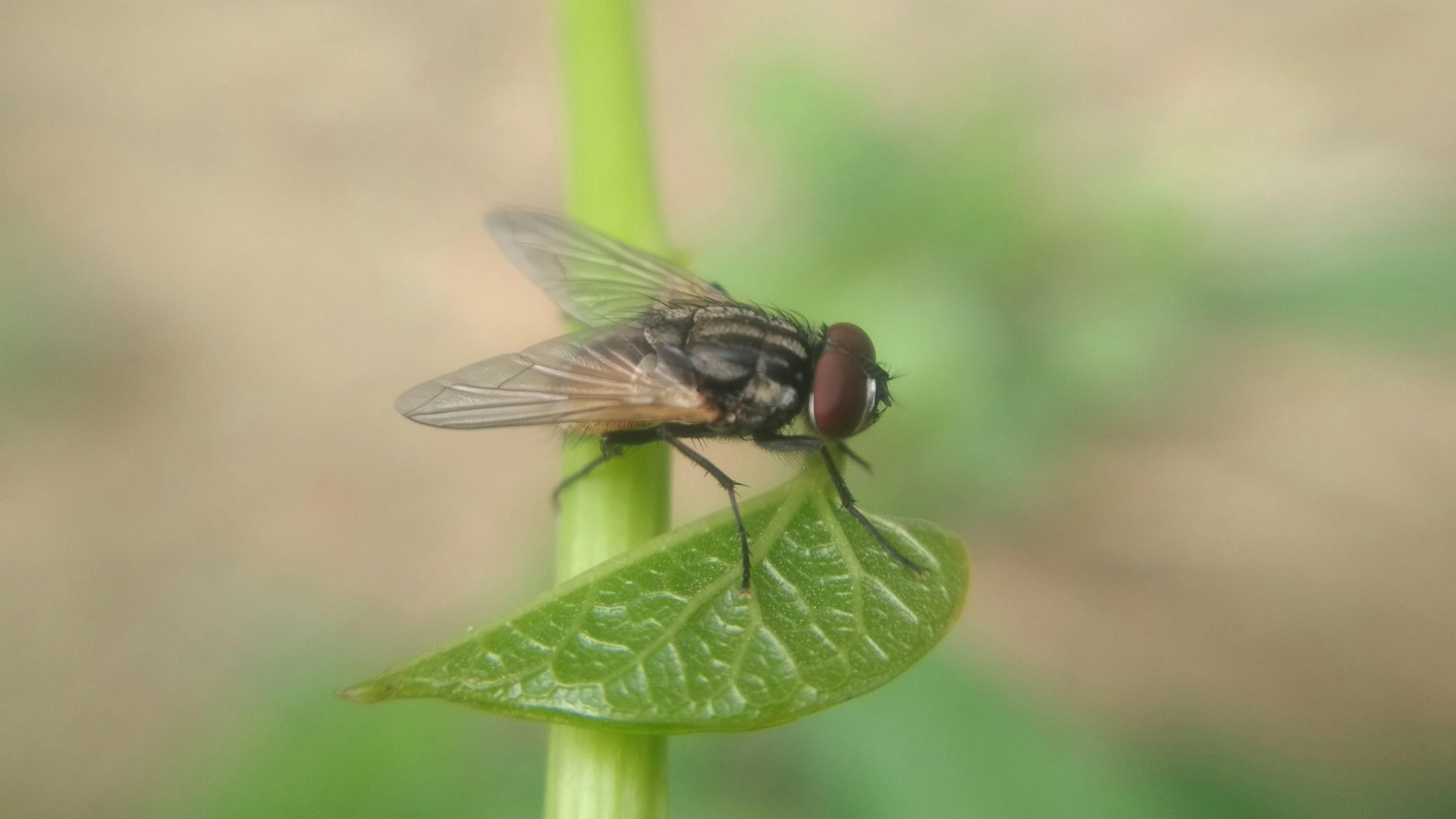 Older couple sitting together on a couch, holding hands and supporting each other