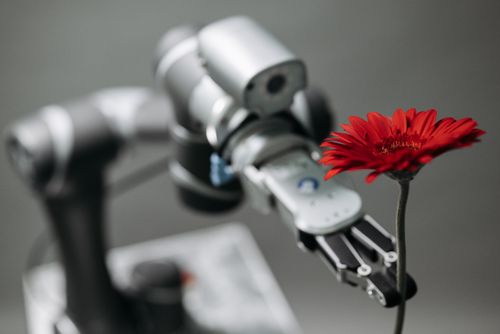 Free A robotic arm delicately holds a vibrant red flower, symbolizing technology's harmony with nature. Stock Photo