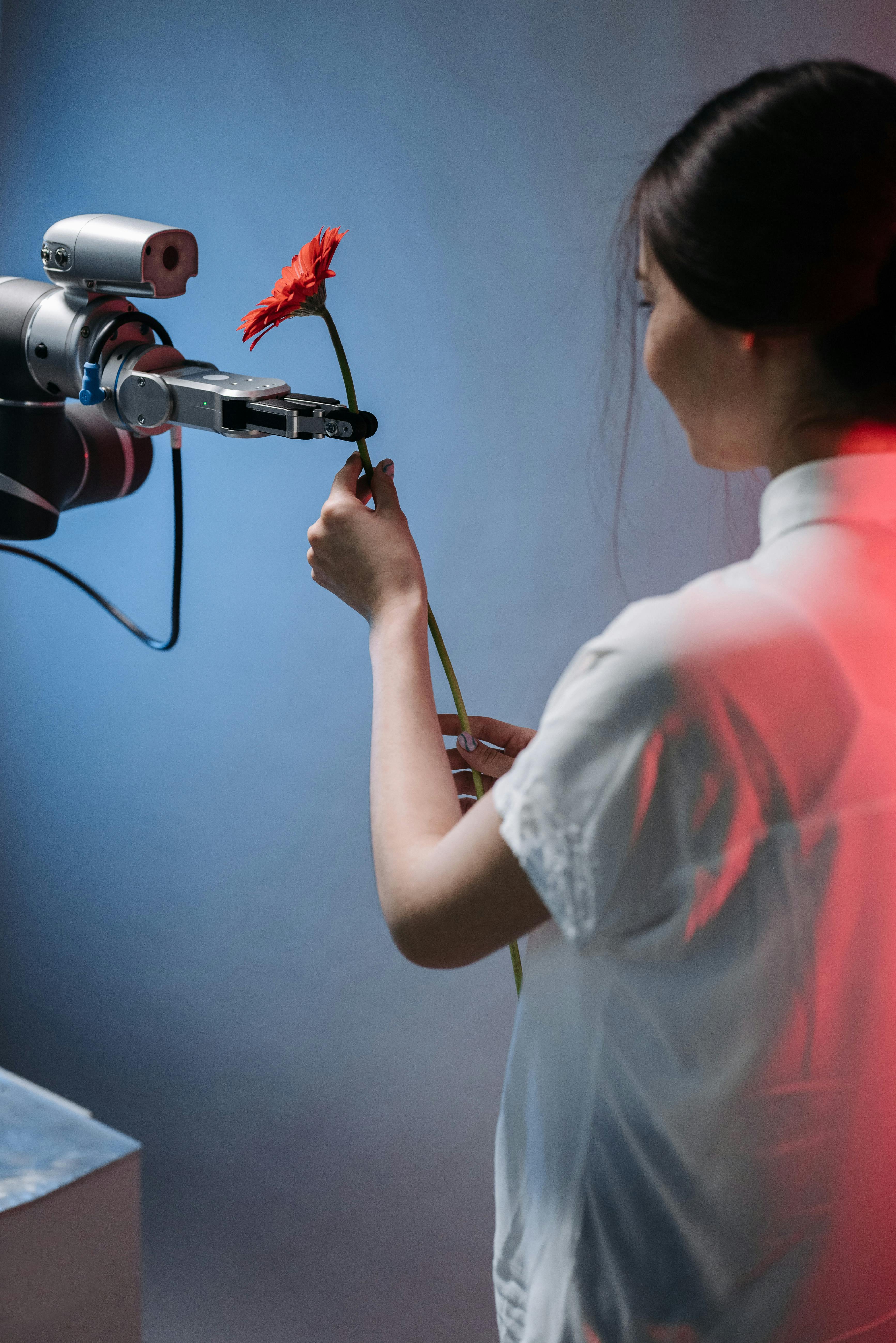 woman taking a red flower from a robot