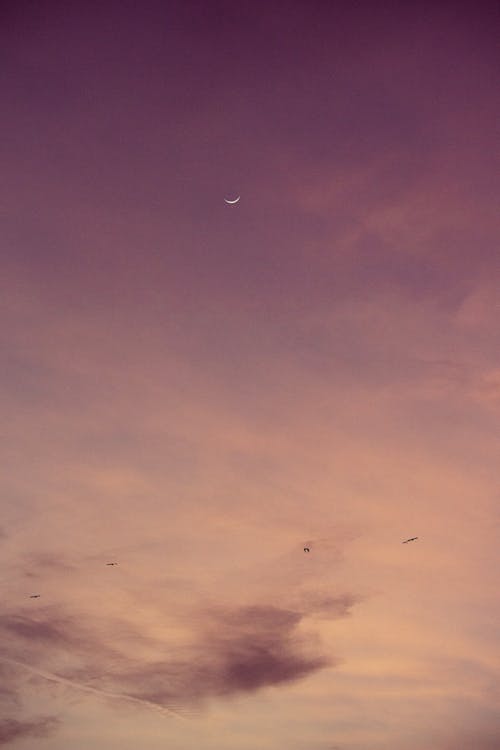 Sky at Dusk with a Crescent Moon 