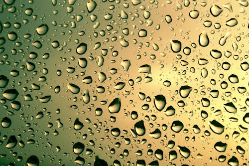 Bezpłatne Darmowe zdjęcie z galerii z ciekły, krople deszczu, mokry Zdjęcie z galerii
