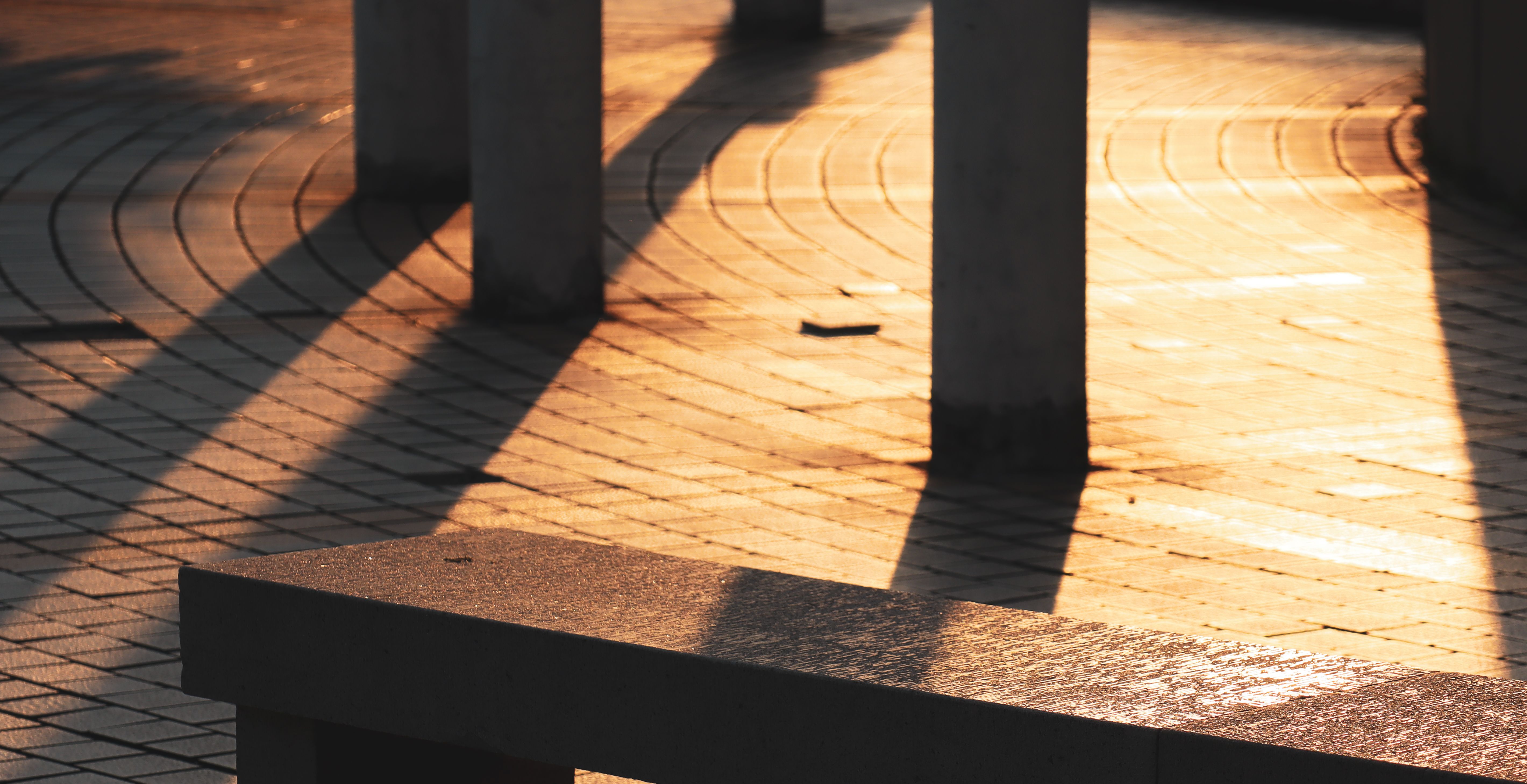 ProCredit Paper Turns Acceptance Checks Into Turn Level Agent Rewards