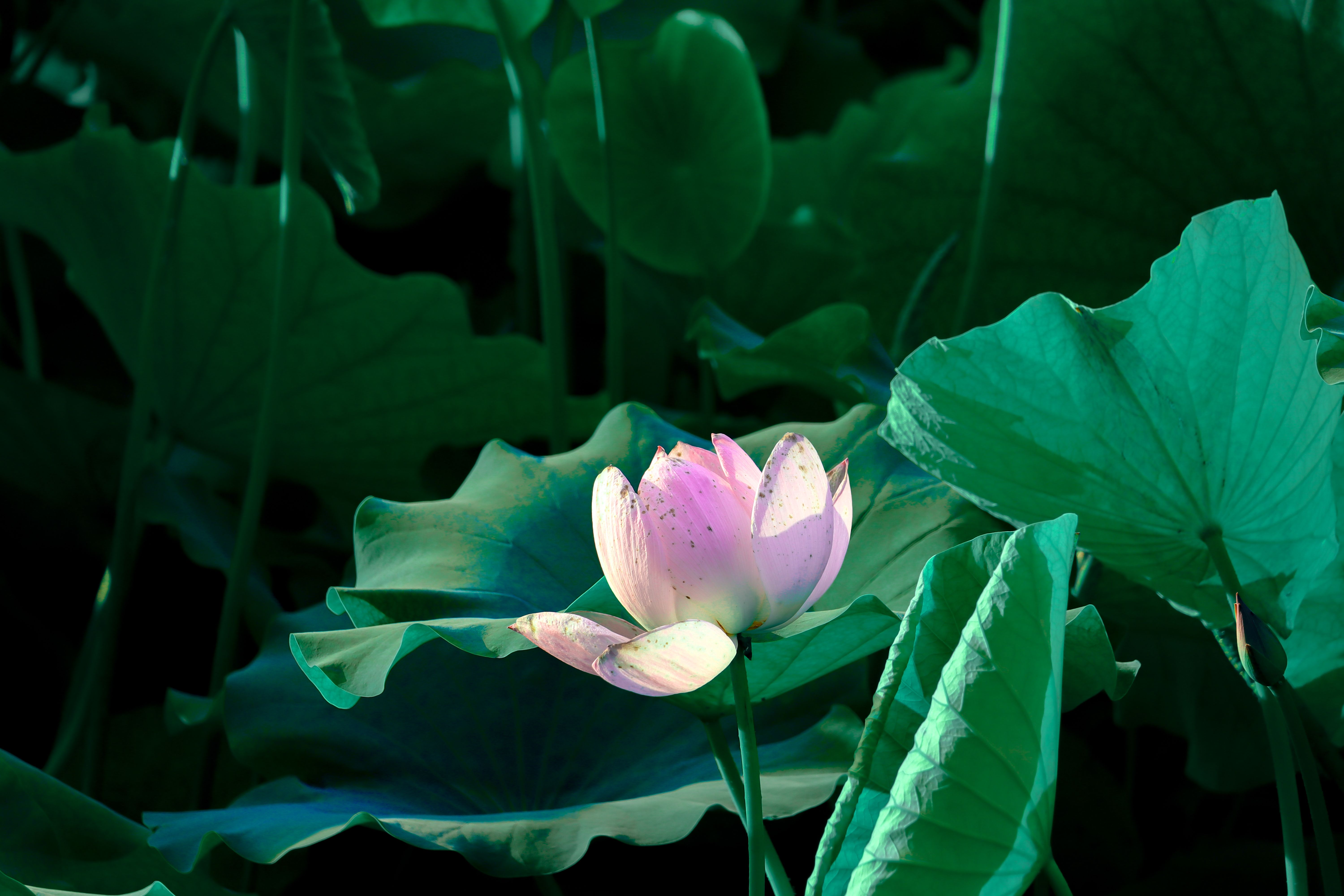Env Rethink Paper Shows Agent Failures Start in Noisy File Environments