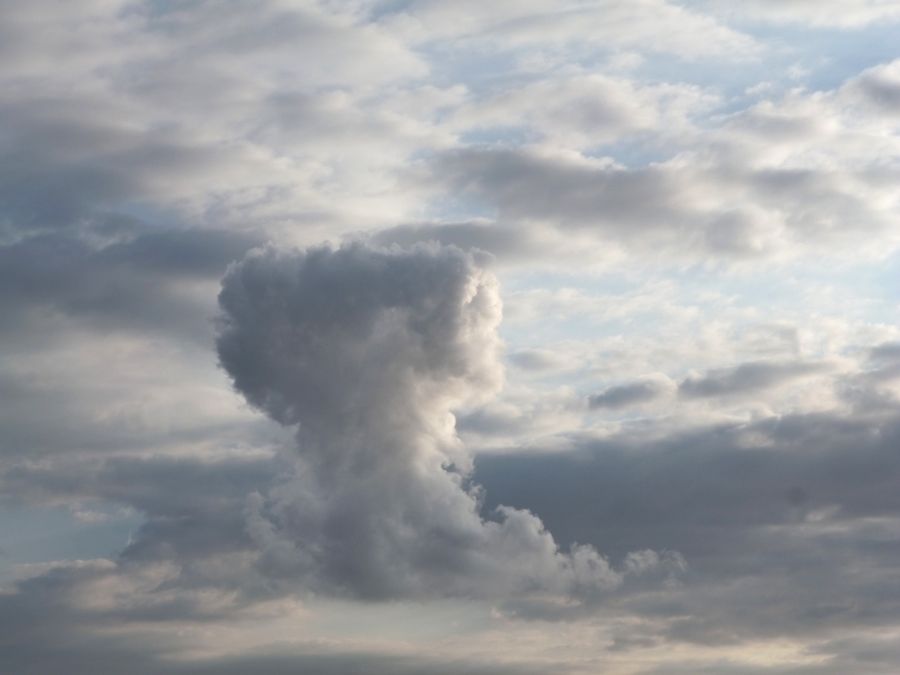 Analysts reviewing global risk data on multiple monitors