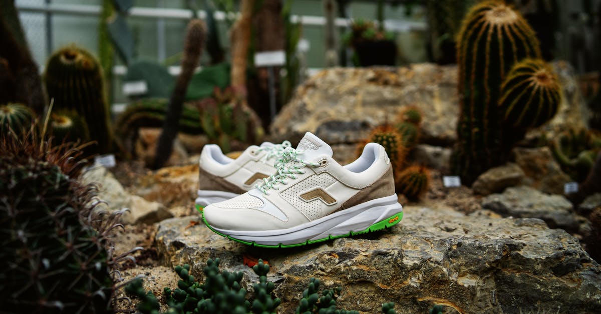 Tendencias de calzado para 2026: Lo que está de moda