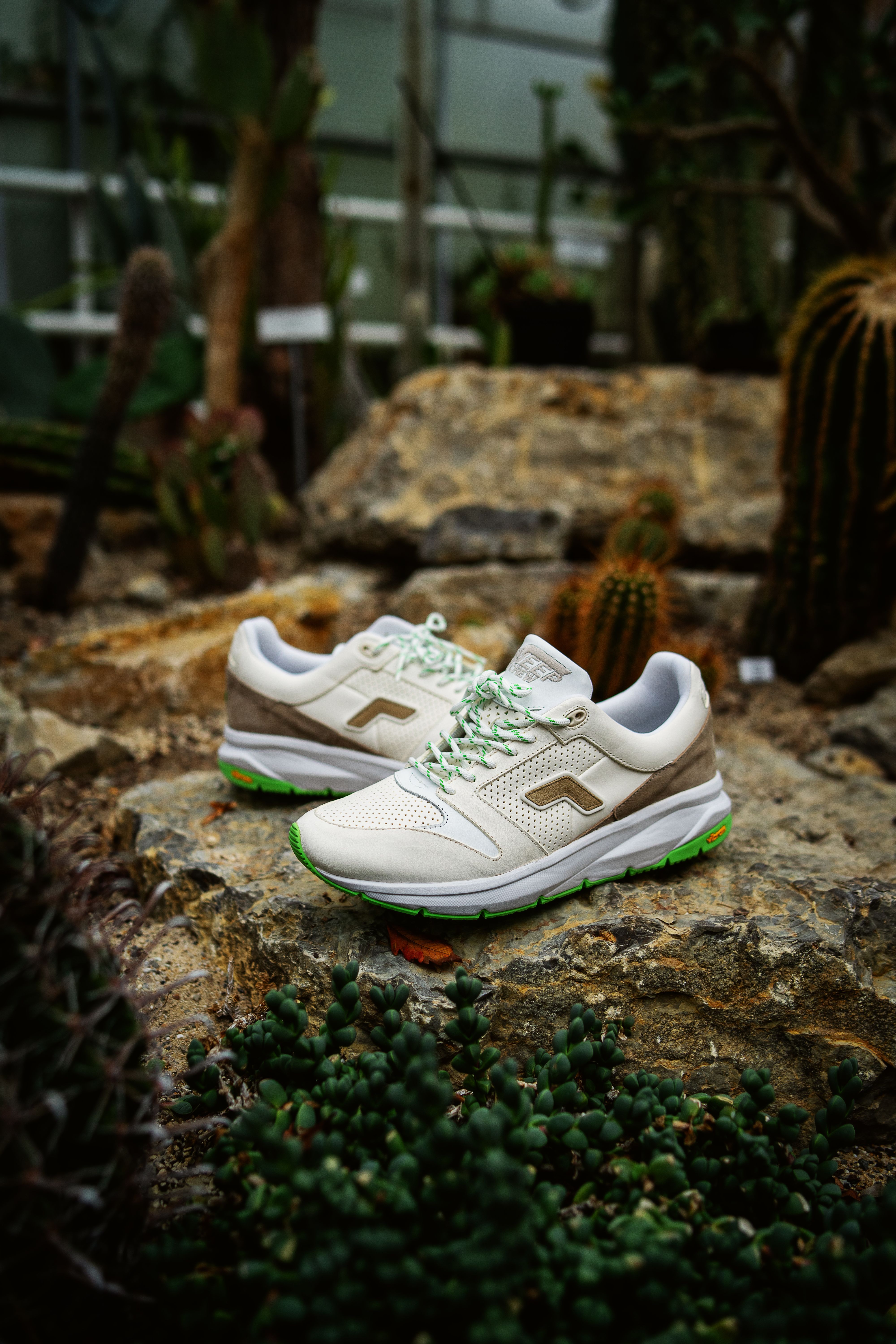 Close-up of trendy sneakers among cactus plants in natural setting.