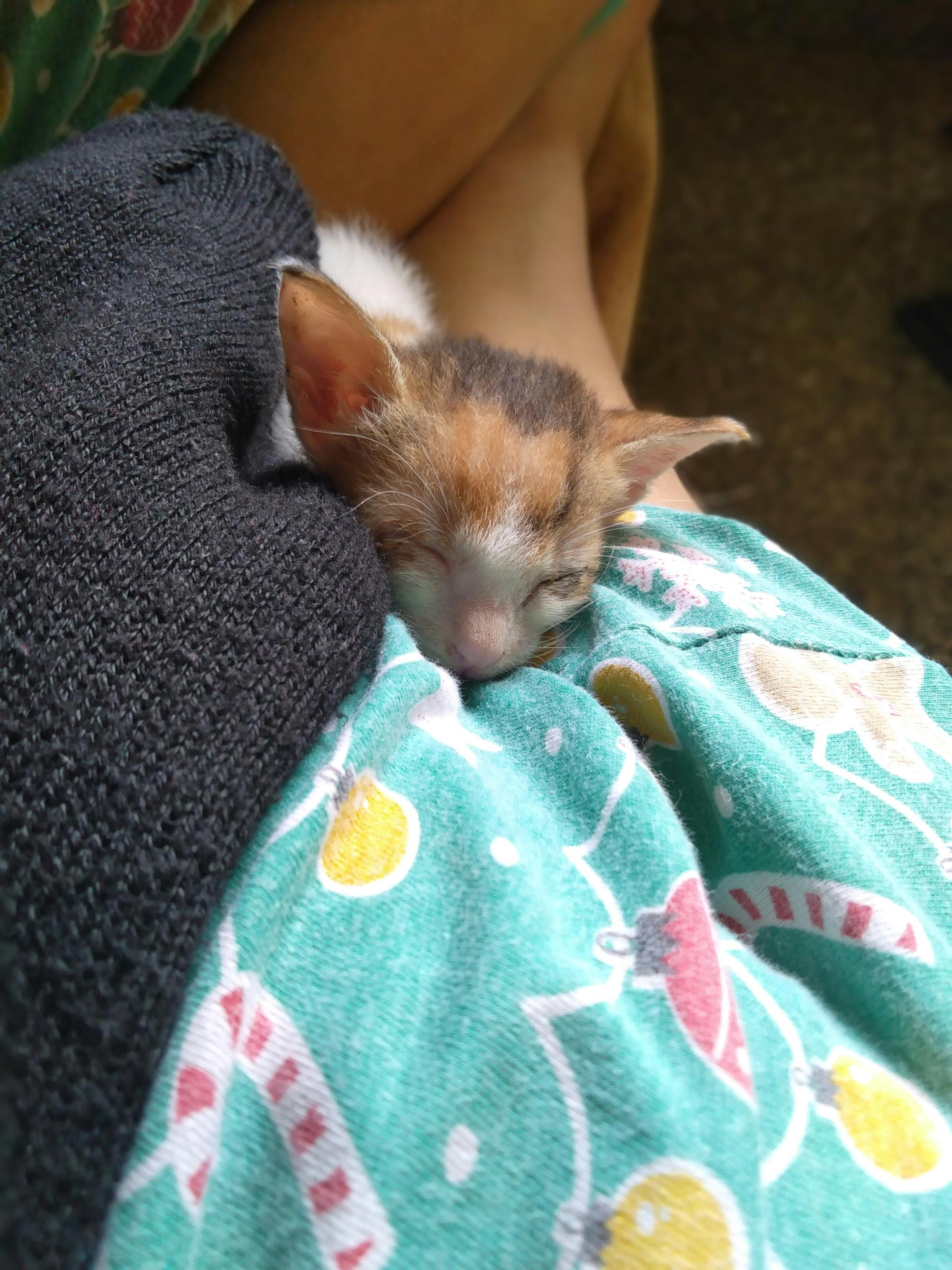 Developer working with blockchain code symbolizing Ethereum and layer-2 innovation