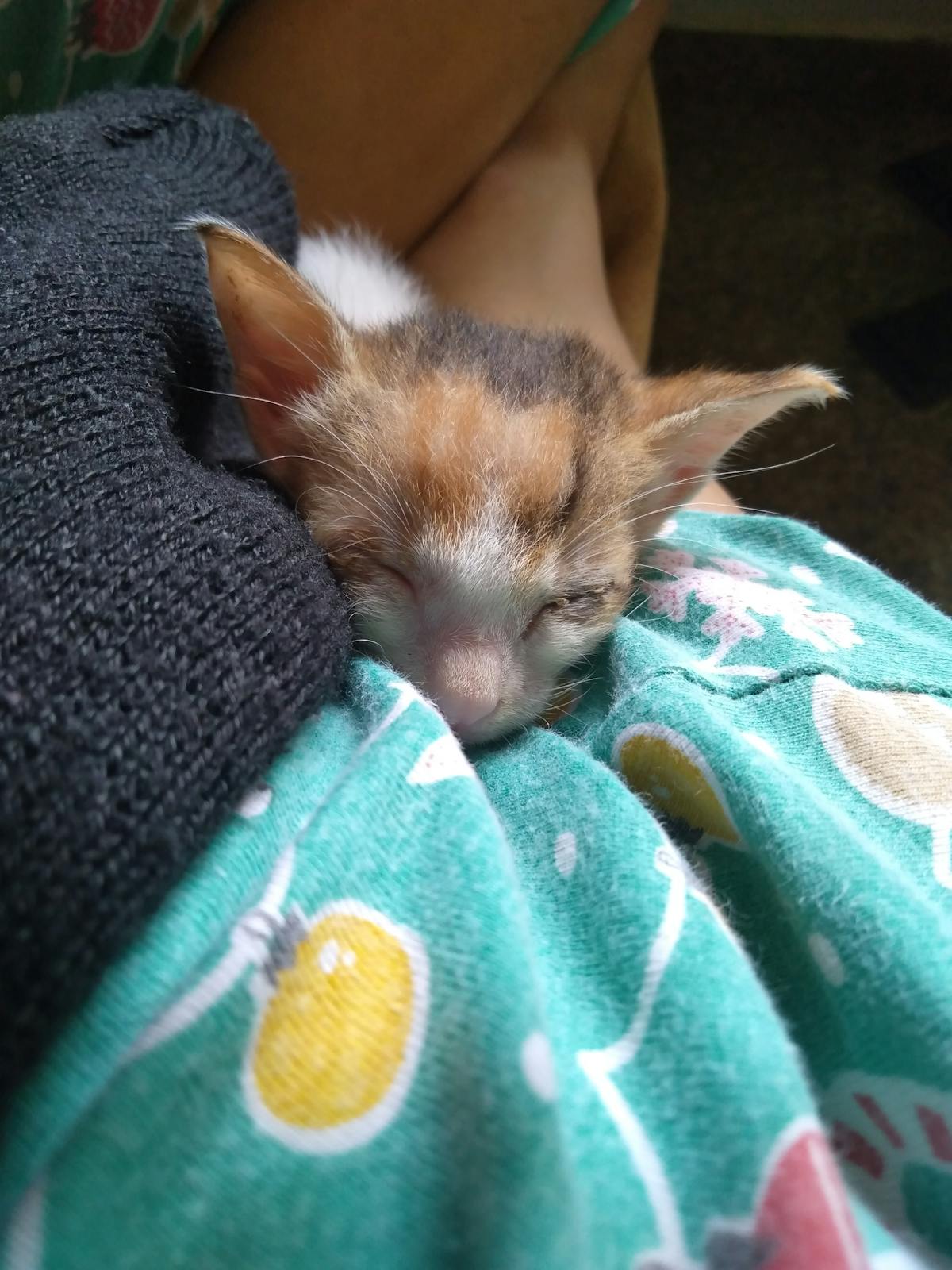 Abstract visualization of interconnected nodes representing AI agents and blockchain networks