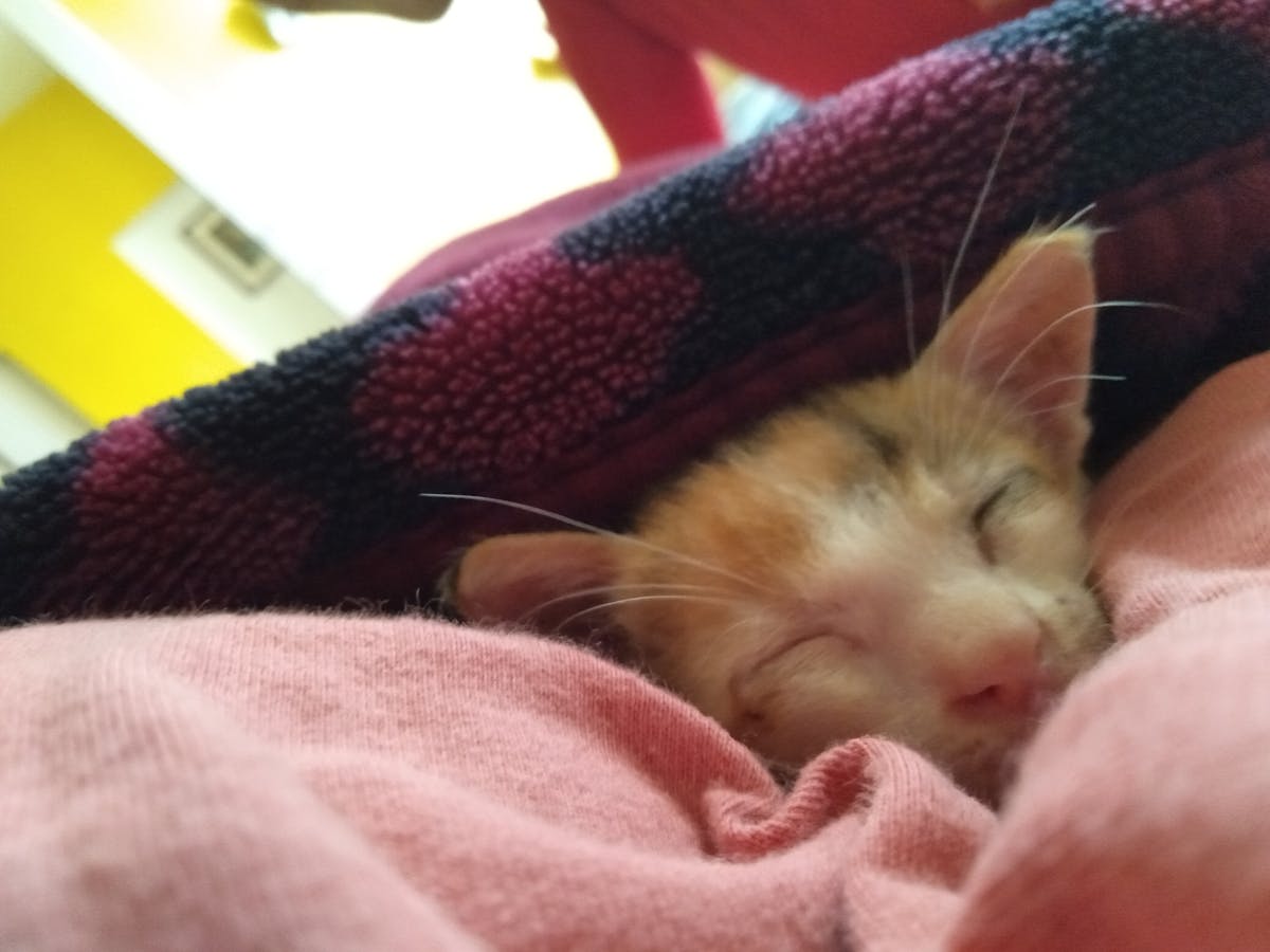 Code and network diagrams on multiple screens representing layer-2 and rollup architectures