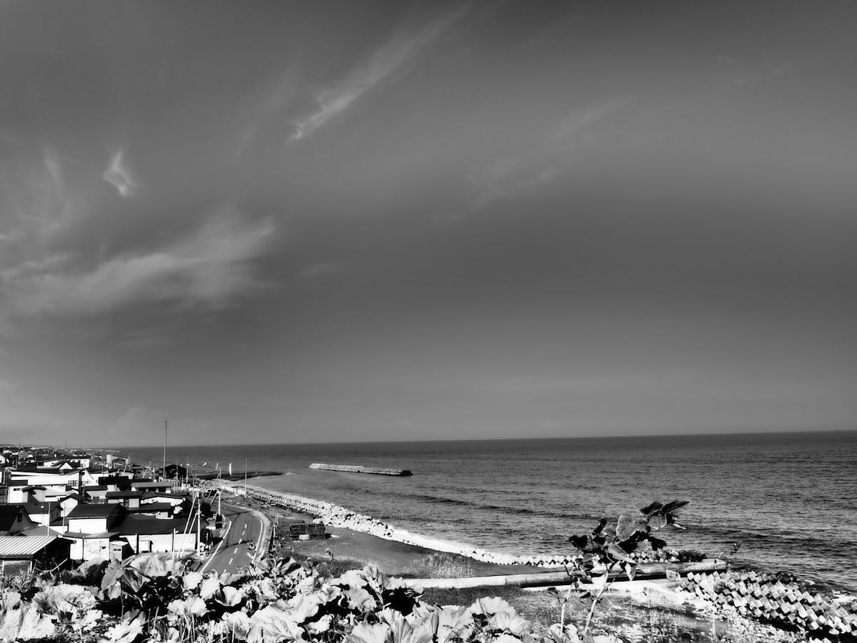 Visual representation of digital tokens and virtual wallets