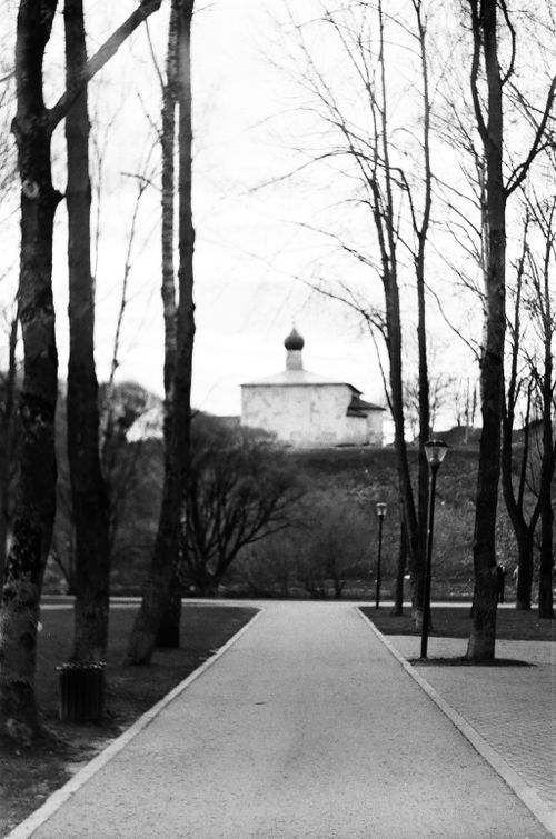 Free Black and white view of a serene park pathway leading to a distant church building. Stock Photo