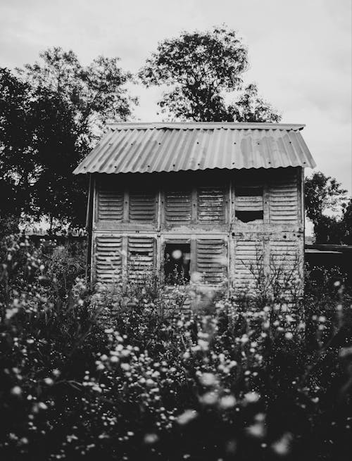Grayscale Photo of Wooden House 