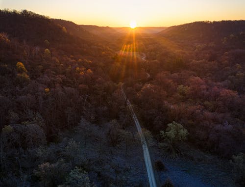 Ilmainen kuvapankkikuva tunnisteilla aamu, auringonnousu, katu