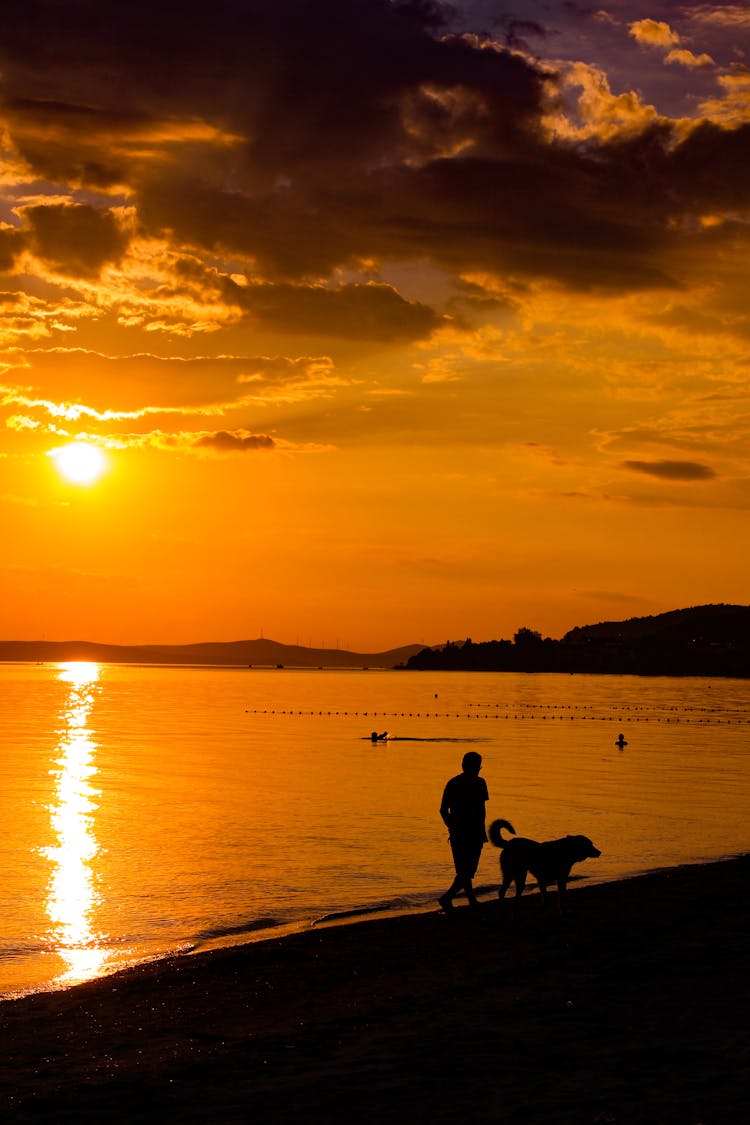 Silhouette Of A Person And A Dog Walking On Seashore During Sunset