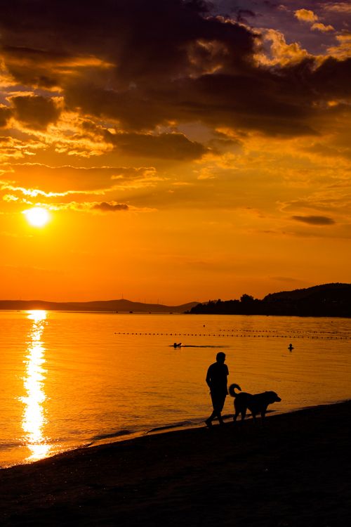 Free A scenic silhouette of a person walking a dog along a beach during a dramatic golden sunset in Erdek, Balıkesir, Türkiye. Stock Photo