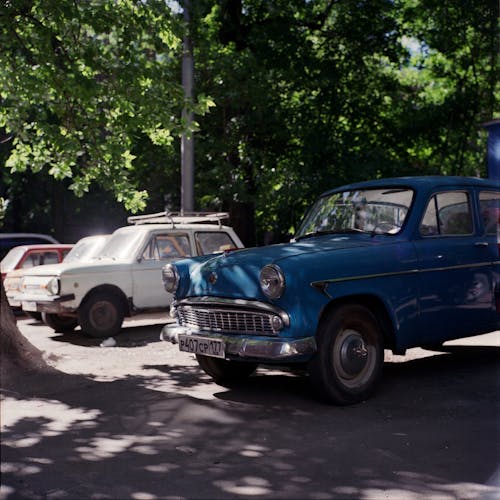 Free  Classic Car Parked Near Trees Stock Photo