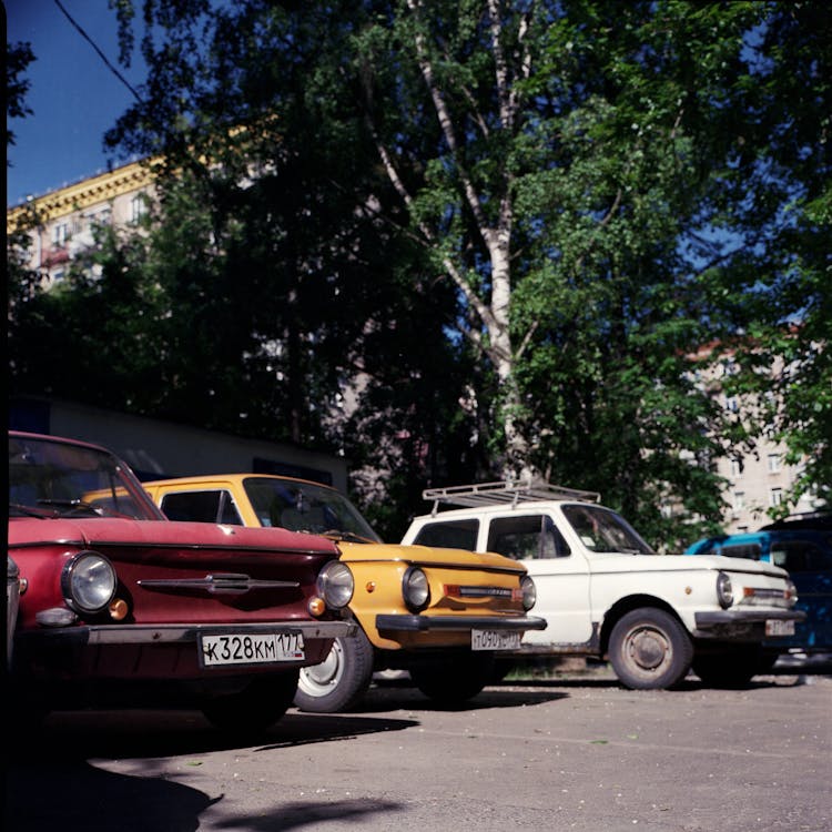 Vintage Cars In Parking Lot Under Tree