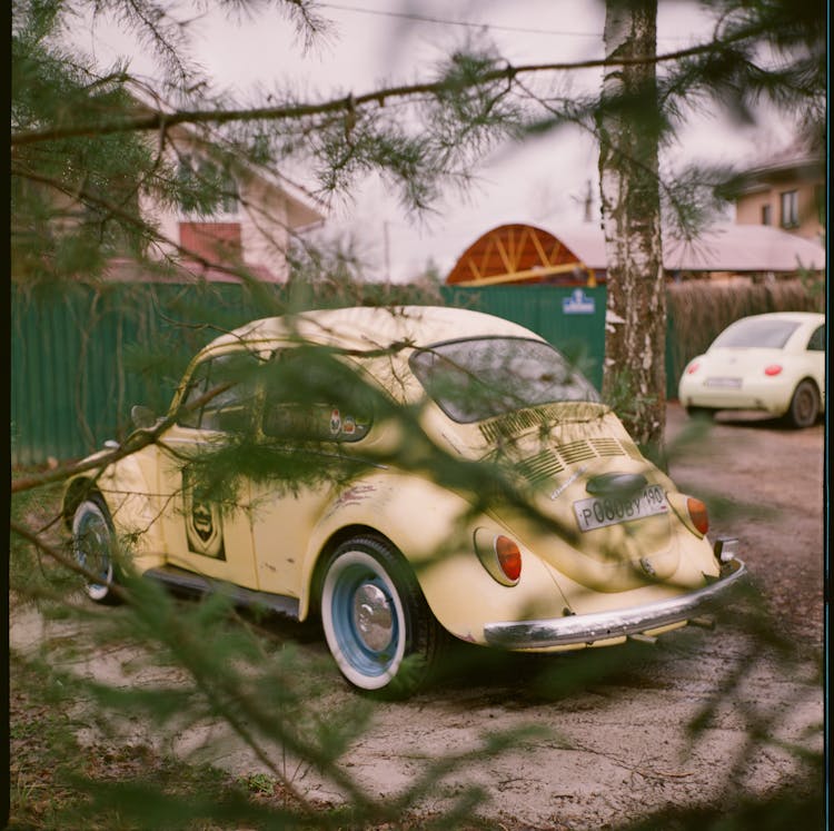 Yellow Vintage Car Behind The Tree Branches