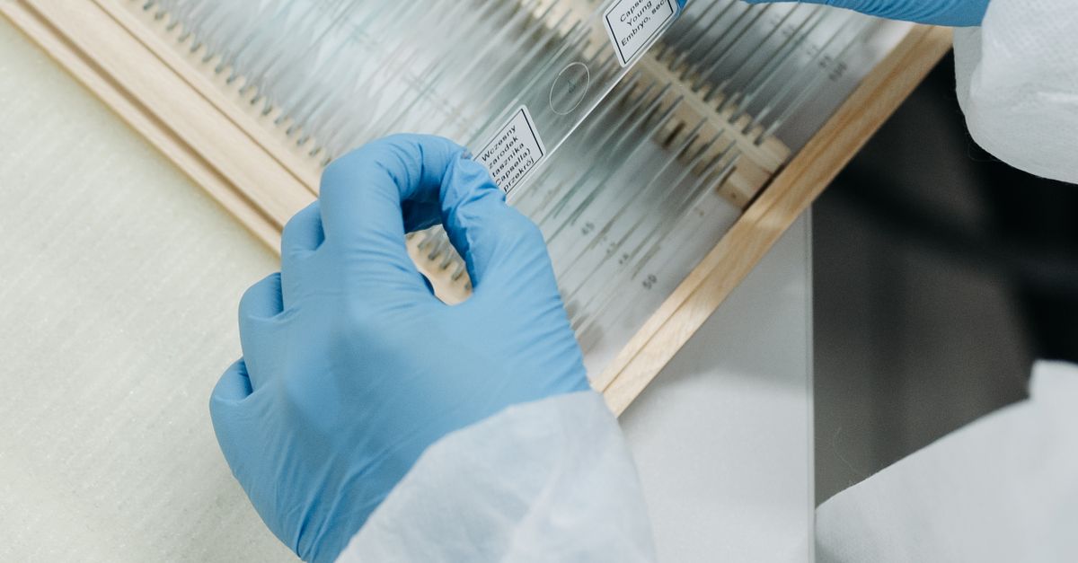 How to Revise A Level Biology Required Practicals Without Rewriting Your Notes