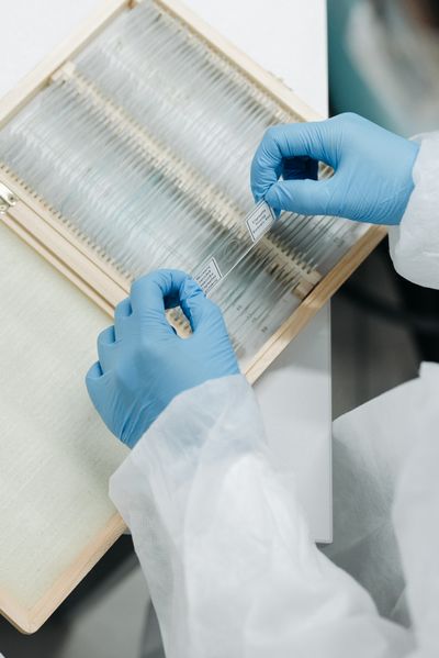 Archive tray of glass slides being sorted by gloved hands