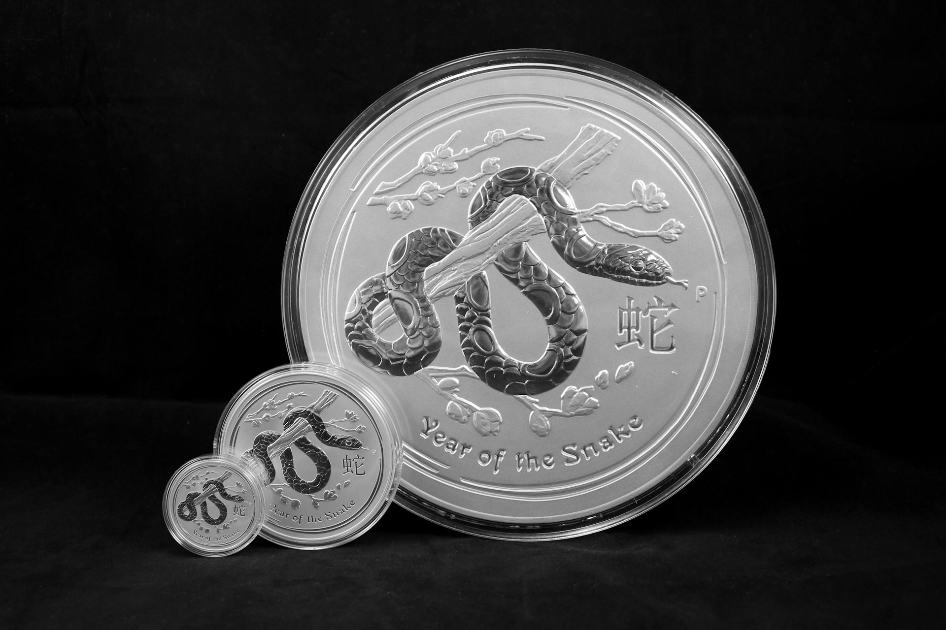 Close-up of intricately designed silver coins celebrating the Year of the Snake.